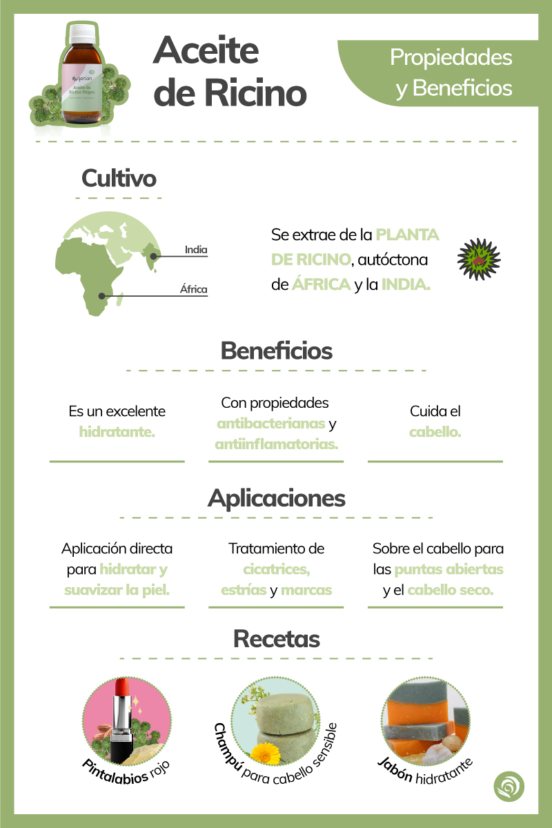 Aceite de ricino: usos, beneficios y controversia