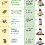 Aceites vegetales: beneficios, usos y precauciones