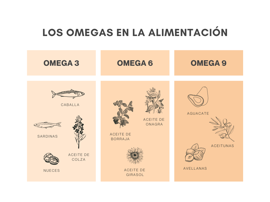 Ácidos grasos esenciales: Belleza y salud natural