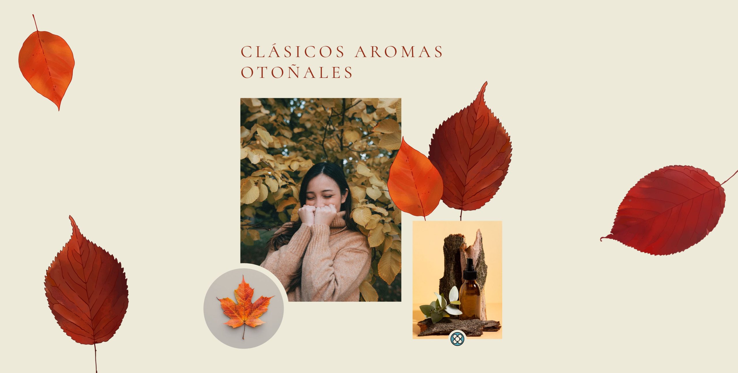 Aromas otoñales: Crea tu ambiente invernal