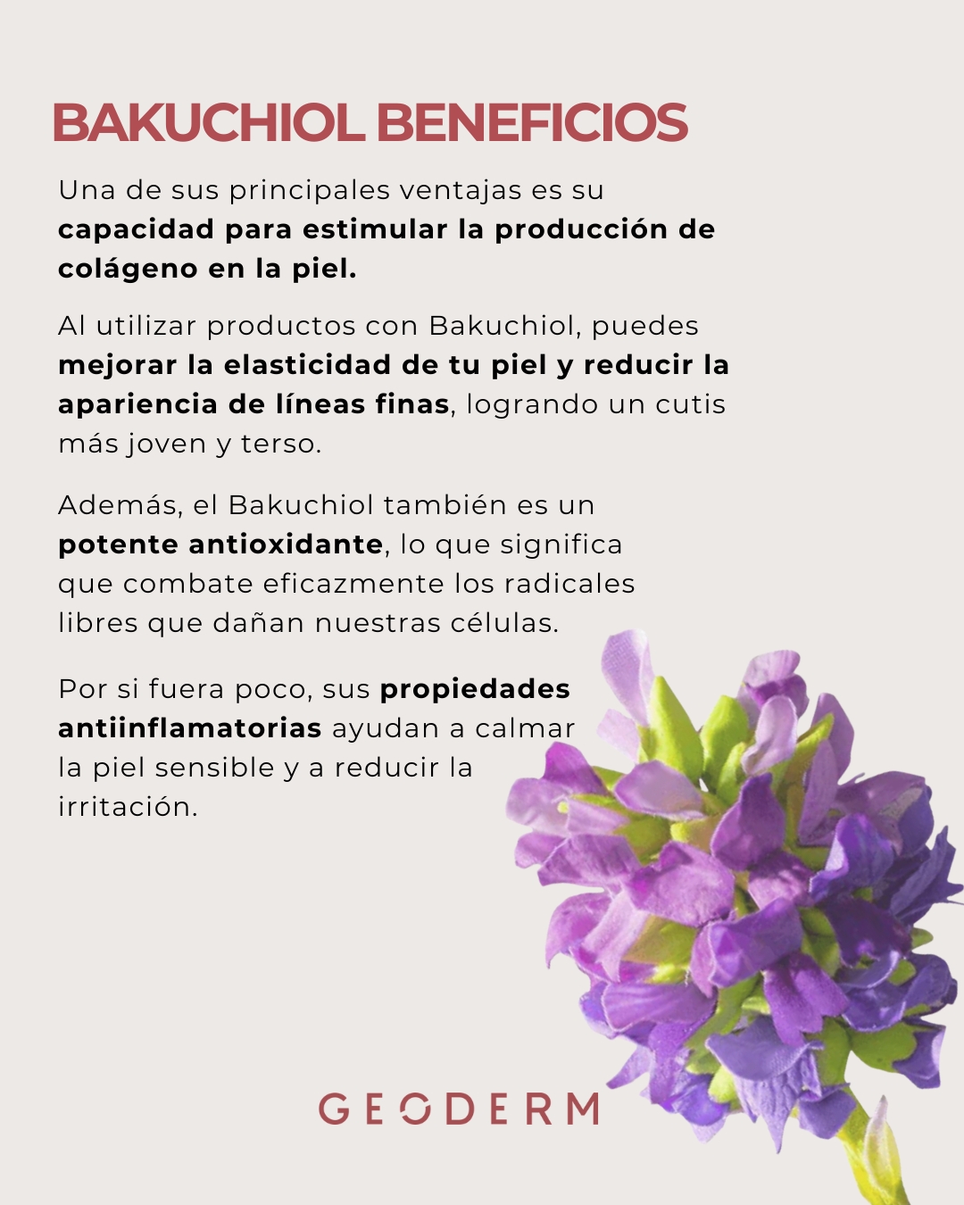 Bakuchiol: El retinol natural para pieles sensibles