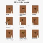 Bultos Mamarios: Causas, Tipos y Diagnóstico