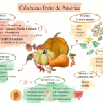 Calabaza: Ecología, cercanía y consumo consciente