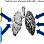 Capacidad pulmonar: Declive natural y enfermedades