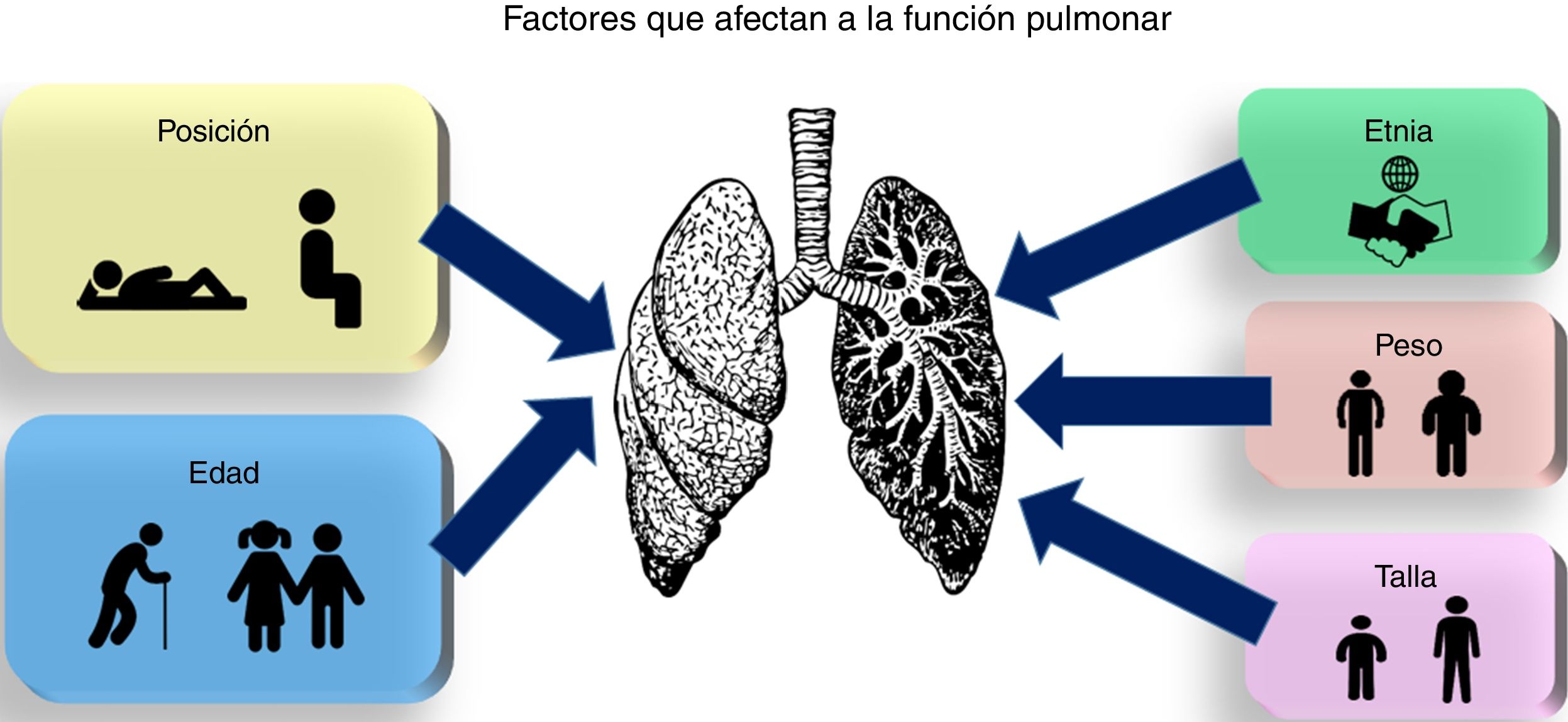 Capacidad pulmonar: Declive natural y enfermedades