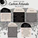 Carbón Activado: Usos, Beneficios y Limitaciones