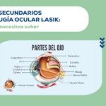 Cirugía para la Sequedad Ocular Crónica: Opciones y Riesgos
