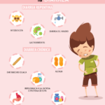 Diarrea: Síntomas, Causas y Tratamiento