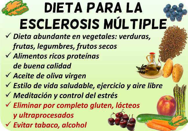 Dieta y Esclerosis Múltiple: Claves para su Control