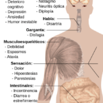 Esclerosis Múltiple: Síntomas, Tipos y Diagnóstico