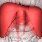Espasmos Diafragmáticos: Causas, Síntomas y Tratamiento
