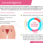 Estrógeno: clave para la salud ósea y fertilidad femenina