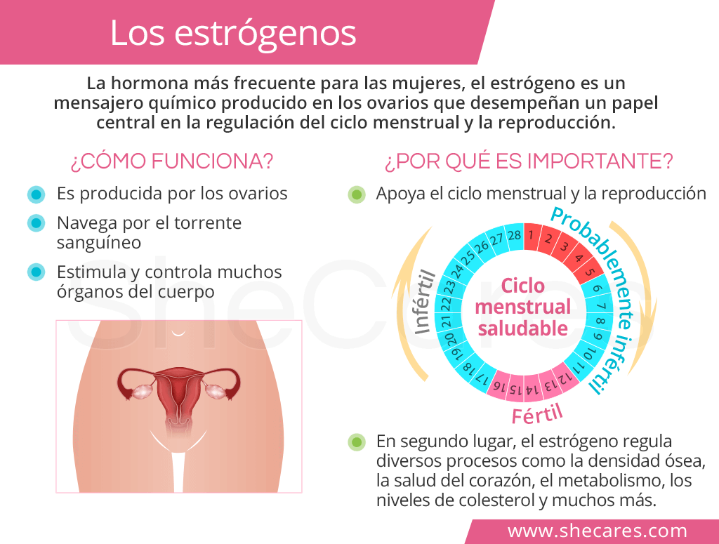 Estrógeno: clave para la salud ósea y fertilidad femenina