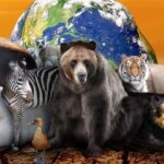 Extinción masiva: Amenaza a miles de especies