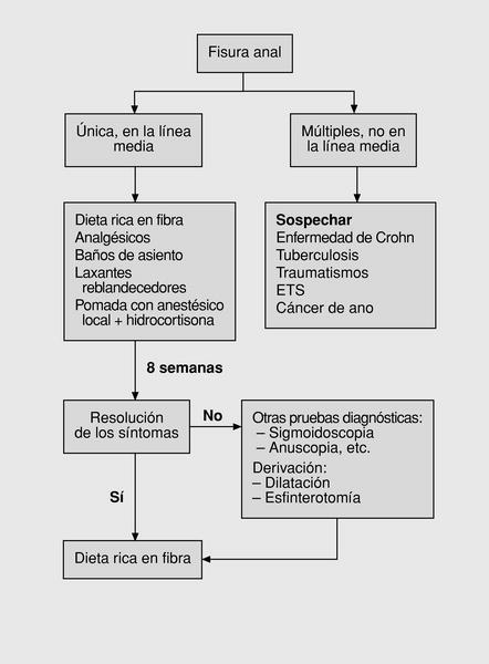 Fisuras Anales: Diagnóstico, Tratamiento y Cuándo Consultar