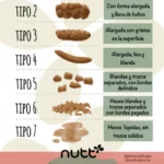 Heces: Guía de colores, formas y cuándo consultar