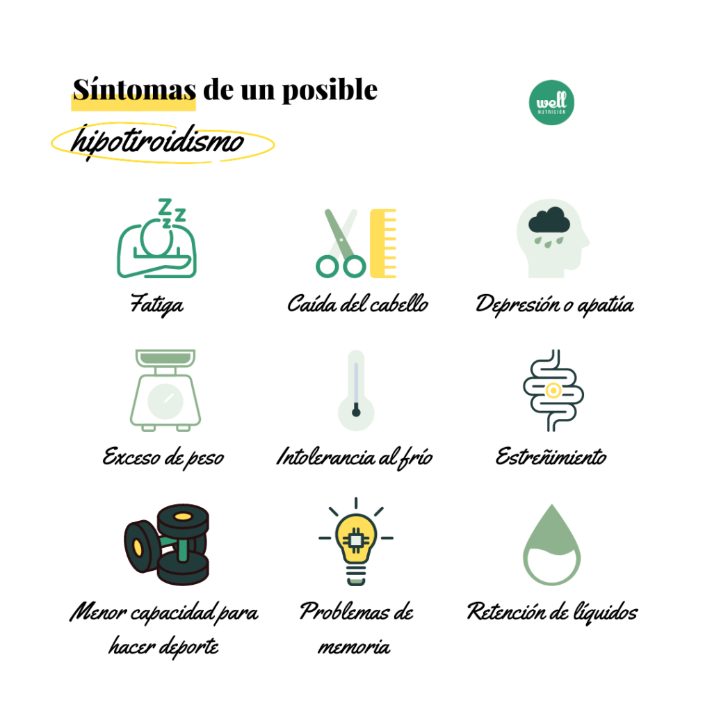 Hipotiroidismo: Fatiga, frío y metabolismo lento