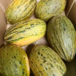 Hortícola Sierra: Frutas y verduras ecológicas de Málaga