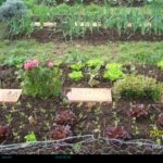 Huerta Ecológica La Huerta: 20 años de sabor natural