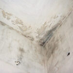 Humedad en casa: daños, causas y soluciones