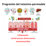 Intestino Permeable: ¿Una puerta a la enfermedad?