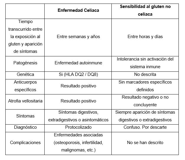Intolerancia al Gluten: Síntomas y Diferencias