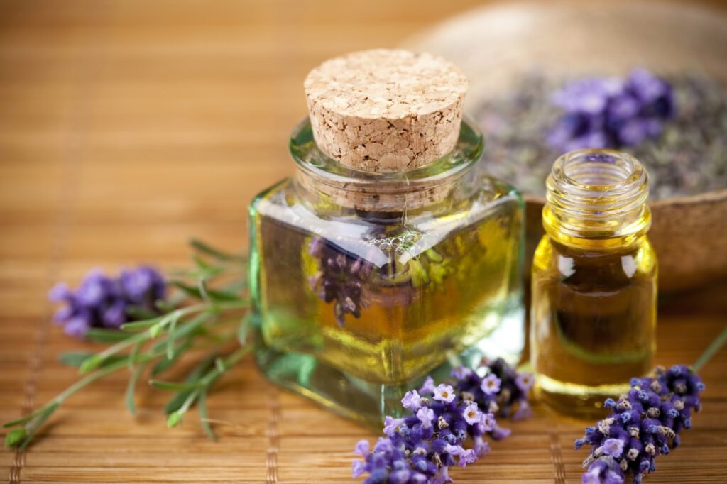 Lavanda: Alivio natural para cuerpo y mente