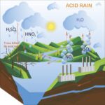 Lluvia ácida: Daño ambiental y soluciones