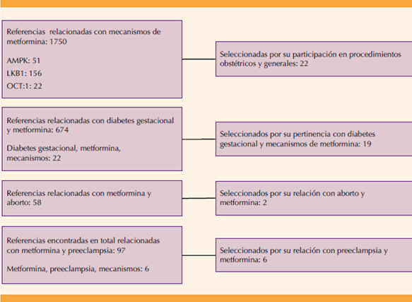 Metformina: Riesgos, interacciones y precauciones