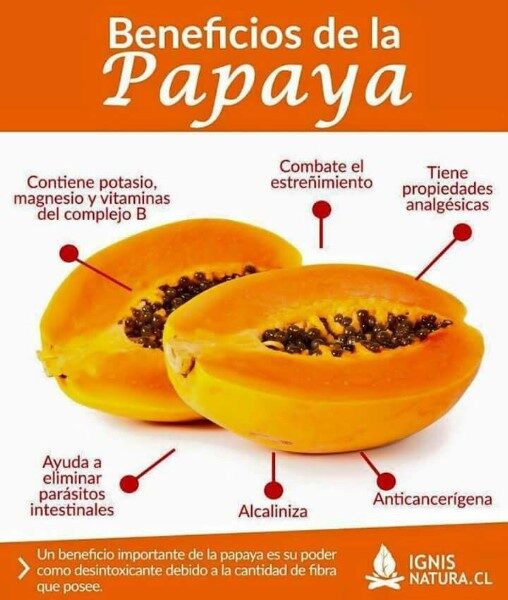 Papaya: Salud, sabor y múltiples beneficios