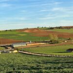 Repoblación rural: El éxodo a la vida en el campo