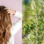 Romero: Secreto para un cabello sano y fuerte