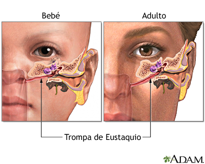 Secreción del oído: síntomas, causas y cuándo consultar