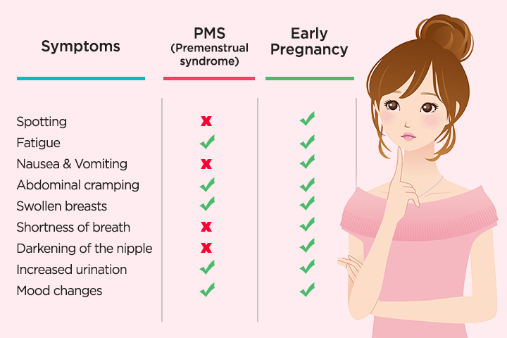 SPM vs. Embarazo: Diferencias clave en síntomas