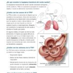 Taquipnea: Causas, síntomas y tratamientos