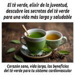 Té verde: elixir de salud y bienestar