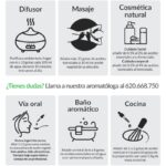 Tomillo: Guía de sus Aceites Esenciales