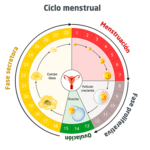 Tu piel y el ciclo menstrual: una guía completa