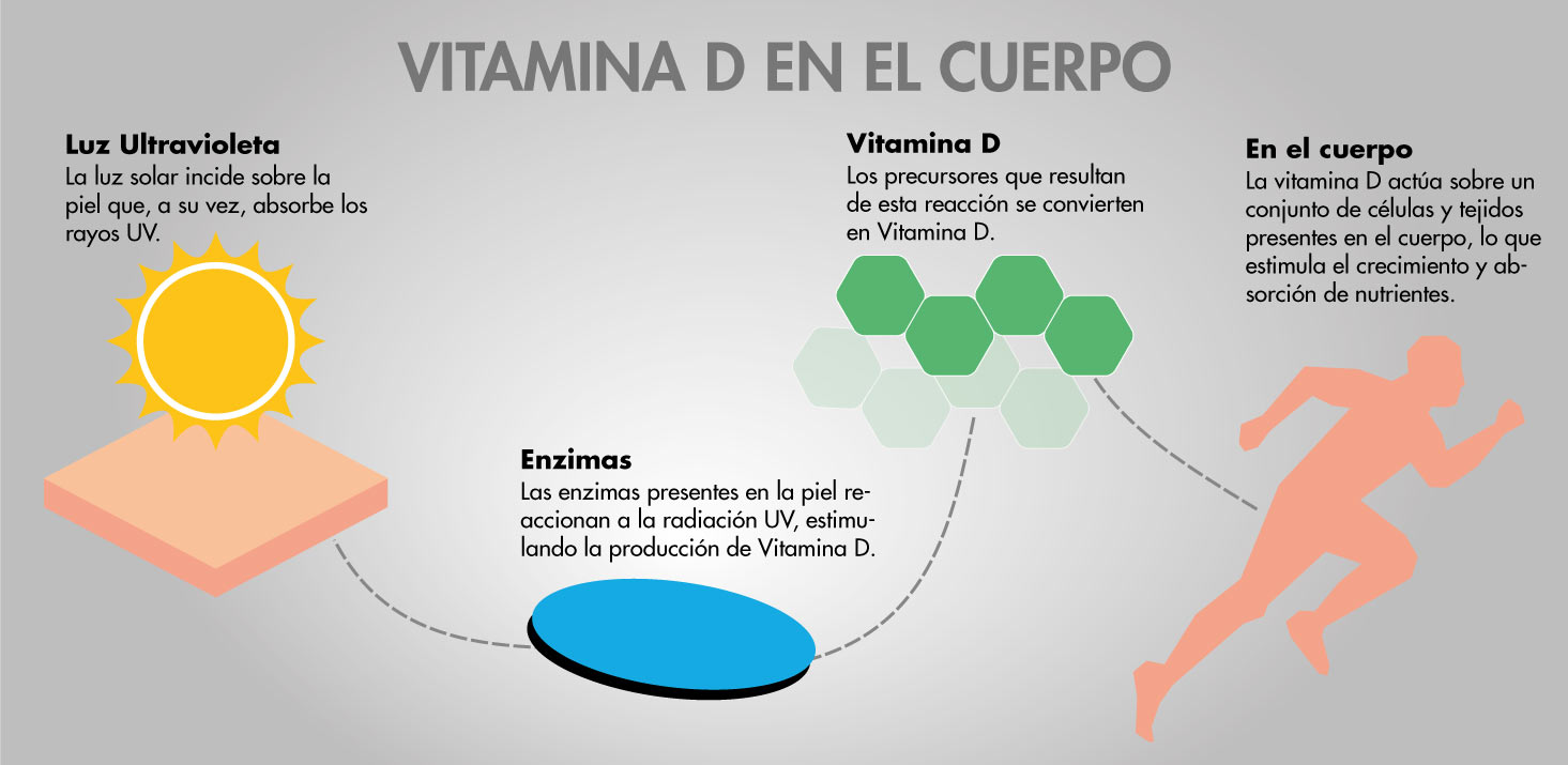 Vitamina D: Sol, salud ósea y piel radiante