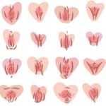 Vulvas y Vaginas: La Diversidad de lo Normal